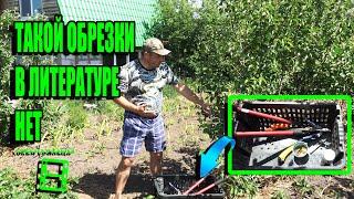 ПРАВИЛЬНАЯ ОБРЕЗКА ДЕРЕВЬЕВ И КУСТАРНИКОВ-ФОРМИРОВКА ПЛОДОВЫХ ДЕРЕВЬЕВ. САД (ОГОРОД) И ТЕПЛИЦА 21-21