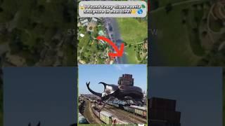 I Found Strange Giant Beetle CaughtGoogle Earth & Google Maps! #shorts#YouTube short#viral video