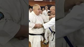 Кёкусинкай / Сихан Танюшкин / Выход в Сантин-дати / Освобождение от захвата 9-й кю (1)