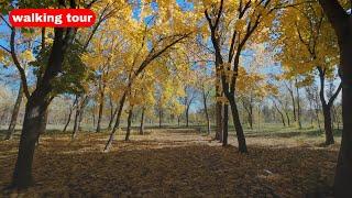 Autumn Walk in Bishkek, Kyrgyzstan [4K] - Victory Park