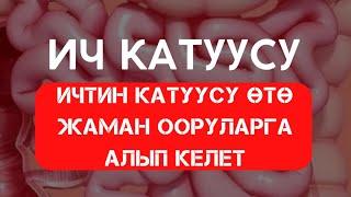 ИЧТИН КАТУУСУ ЧОҢ КӨЙГӨЙ ЖАРАТАБЫ?