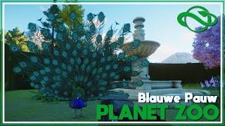 Planet Zoo | Carrière | 12 Blauwe Pauw