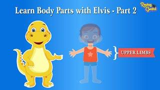 Discover the Parts of the Human Body  - Part 2  | Exploring Body Parts with Roving Genius! 