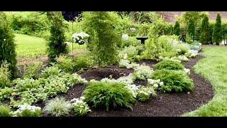 White Garden - Moon Garden - Zone 6a/6b - Perennial Garden - Garden Tour - 2022