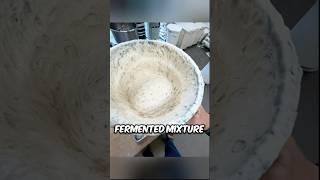 Sourdough Starter Explained