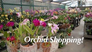 Orchid Heaven!!! | Greenhouse Tour