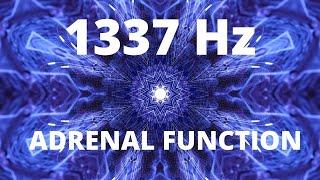 1337 Hz | Binaural Beats for Improved Adrenal Function | Solfeggio Frequency