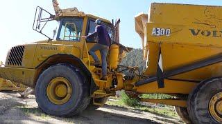 #114 Buying a digger + trimming trees and planting potatoes