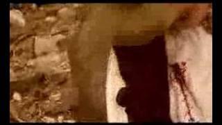 Marshall Jones Season 4 Trailer
