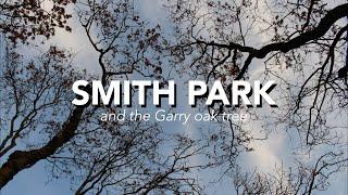 Smith Park and The Garry Oak Tree - Oak Harbor Garry Oak Society