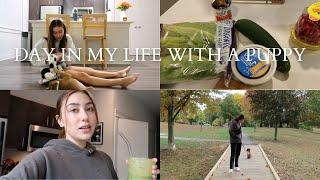 DAY IN MY LIFE with a new puppy!!! | Daria Afshar