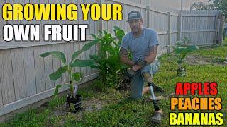 Mistakes Were Made - DIY Growing Food - South Texas Roots