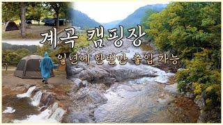 일년에 딱한번, 자신있게 추천드리는 계곡 오토캠핑장 I 소금강야영장 I 꼭 가보세요