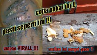 pasti gak kecewa inilah umpan terbaik mancing udang galah