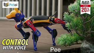 Learn Robotics & AI with Bittle X Robot Dog | PetoiCamp