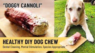 Healthy DIY Dog Chew  Long-Lasting Enrichment & Treat