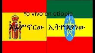 spanish amharic translation for beginner