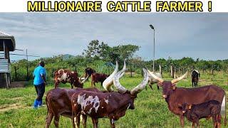How BEEF Farming And Proper Livestock Management Can Make You A MILLIONAIRE!
