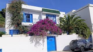 NUESTRO VIAJE A TUNEZ-SIDI BOU SAID