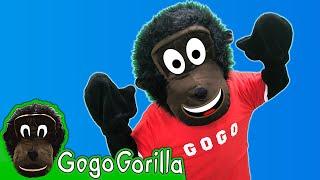 Action Songs For Kids | Dance And Move | Brain Breaks | Gogo Gorilla Kids Music & Educational Videos