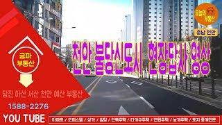 [부동산투자 유망지역] 충남 천안 아파트 천안 불당 '천안의 강남' 명품 불당신도시 아름드리공원 탐방영상!