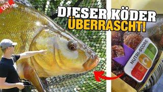 Die SCHLEIEN lieben diesen Köder! Probiere es mal aus! OSA in Mission Friedfisch Angeln