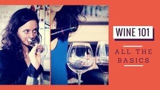 Wine 101: All The Basics