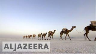 The Danakil Depression : Salt mining in one of the hottest places on earth