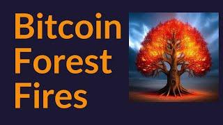 Bitcoin Forest Fires