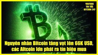 Nguyên nhân Bitcoin tăng vọt lên 66K USD, các Altcoin lớn phát ra tín hiệu mua