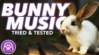 Music for Rabbits - Instantly Soothe Anxious Rabbits (TESTED) 