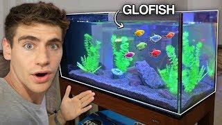 *NEW* GLO-FISH AQUARIUM!!