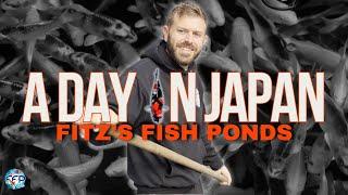 AN EXCLUSIVE TOUR OF JAPAN’S BEST KOI BREEDERS