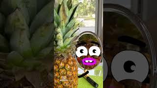 Cute Life Doodles | Pineapple and mirror  #cutelifedoodles #cartoon #animation #funny