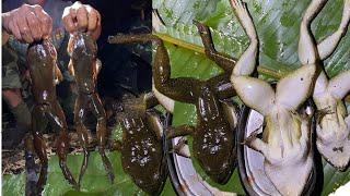 The best Night hunter and Kayah Entertainment went and find jungle food at night