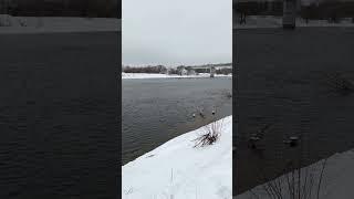 г. Бронницы | Ещё одна точка где можно покидать спиннинг по открытой воде |