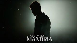 Florin Ristei - Mandria | Visualizer