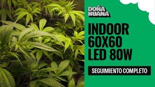 INDOOR DESBORDADO - SEGUIMIENTO COMPLETO INDOOR 60X60 - LED 80 W