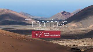 Parque Nacional de Timanfaya - Las montañas del Fuego 