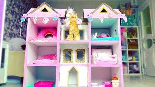 Building 4 FLOORS Kitten Cat Pet House from Cardboard  !