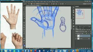 How to draw hands -sketching process