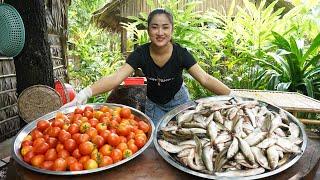 Amazing cooking skills: Yummy braised fish cooking with tomato - Cooking with Sreypov