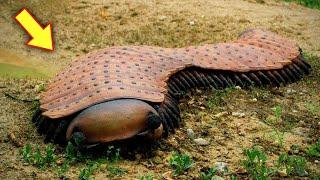 দুনিয়ার সবচেয়ে ভয়ঙ্কর দেখতে প্রাণী | Most Scariest Animals | Odvut Knowledge