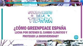 ¿Cómo Greenpeace España lucha por detener el cambio climático y proteger la biodiversidad ?