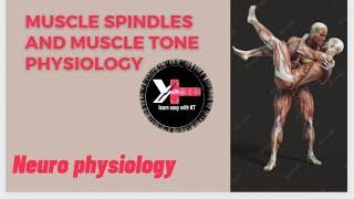 Muscle spindle and muscle tone physiology in hindi kmu ipmr slide