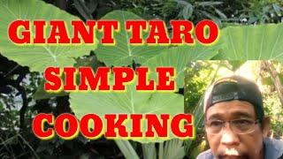 GIANT TARO SIMPLE COOKING/Life in the Philippines Countryside