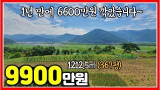 1년만에 6600만원 깎았습니다~ 밀양땅 급매 1212.5㎡ (367평) #밀양전원주택지매매 #밀양텃밭매매 #밀양토지매매