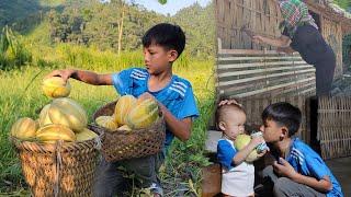 The boy went to pick melons and sold milk to the little girl, very happy.