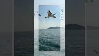 Морские пейзажи #canva_на_смартфоне