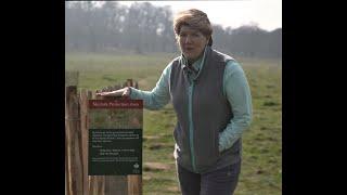 Protecting Skylarks in Richmond Park, with Clare Balding